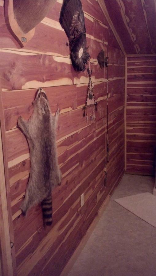 Cedar Cabin Located On A Buffalo Farm Marshall Exteriör bild